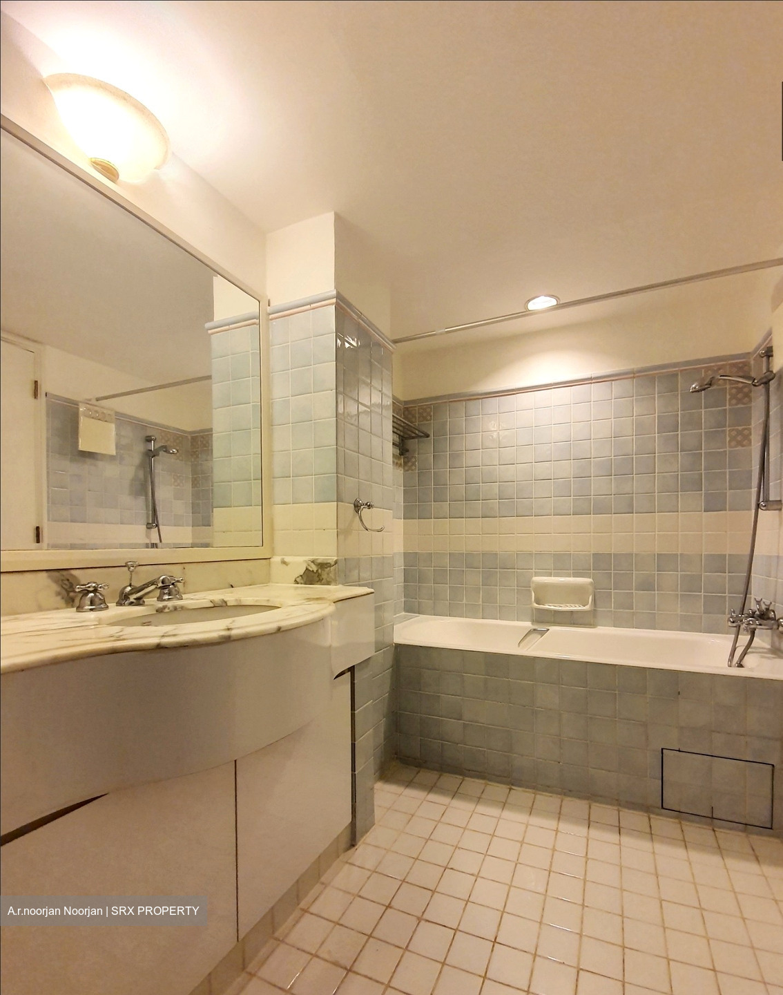 Cavenagh Lodge (D9), Apartment #462534911